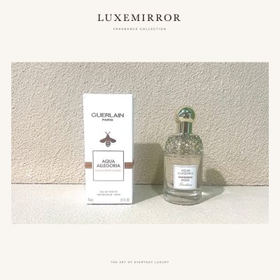 LuxeMirror Aqua Allegoria Mandarine Basilic · 90ml