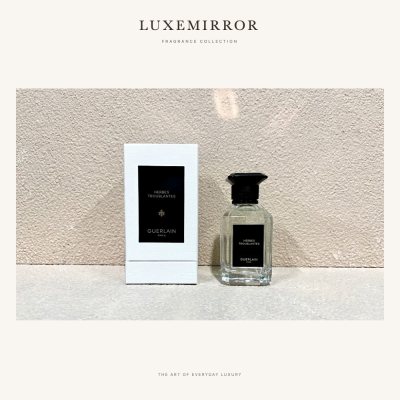 LuxeMirror Aqua Allegoria Herbes Troublantes · 100ml